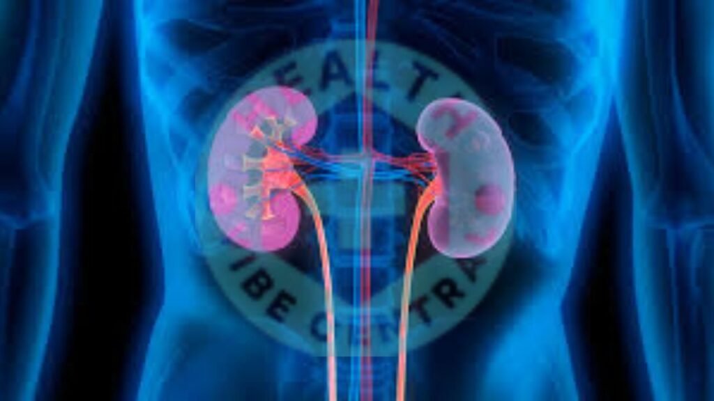 Kidney Disease
